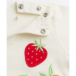 Babyhug Cotton Knit Half Sleeves T-Shirt With Fruit Print & Embroidery - Multicolor