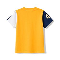 Babyhug 100% Cotton Knit Half Sleeves T-Shirt & Shorts Set With Patch - Multicolor