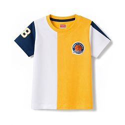 Babyhug 100% Cotton Knit Half Sleeves T-Shirt & Shorts Set With Patch - Multicolor