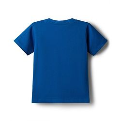 Babyhug Single Jersey Knit Half Sleeves T-Shirt & Shorts Set with Text Print - Blue & Grey