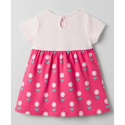 Babyhug Interlock Knit Half Sleeves Frock with Floral Print & Bloomer - Pink