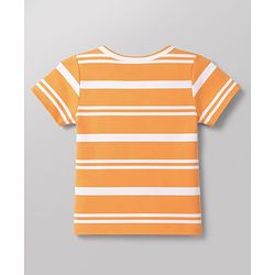 Babyhug 100% Cotton Knit Antibacterial Half Sleeves Jhablas with Zebra & Tiger Print Pack of 3 - Multicolor