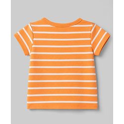 Babyhug 100% Cotton Interlock Knit Half Sleeves Front Open Striped & Car Printed Jhablas Pack of 3 - Orange White & Green