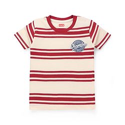 Babyhug Cotton Knit T-Shirts Half Sleeves Striped with Graphics Multi Color 9-12 Months