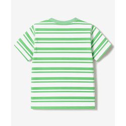Babyhug 100% Cotton Single Jersey Knit Half Sleeves Tiger Printed Dungaree With Striped Inner Tee Print - Sea Green