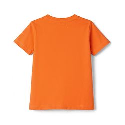 Babyhug Cotton Knit T-Shirt with Graphic Print Half Sleeves Multi Color 6-9 Months