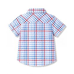 Babyhug Cotton Woven Shirt Half Sleeve Regular Collar Checks Multi Color 9-12 Months