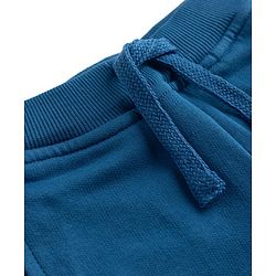 Babyhug Cotton Terry Knit Jogger Fit Lounge Pant With Puppy Patch In Blue