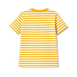 Babyhug 100% Cotton Single Jersey Knit Half Sleeves Striped T-Shirt & Shorts Set With Bear Print - Multicolor
