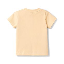 Babyhug 100% Cotton Single Jersey Knit Half Sleeves T-Shirt & Shorts Set With Text Print - Multicolor