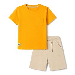 Babyhug 100% Cotton Knit Half Sleeves Solid T-Shirt & Shorts Set With Patch - Orange