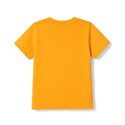 Babyhug 100% Cotton Knit Half Sleeves Solid T-Shirt & Shorts Set With Patch - Orange