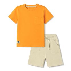 Babyhug 100% Cotton Knit Half Sleeves Solid T-Shirt & Shorts Set With Patch - Orange