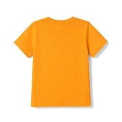 Babyhug 100% Cotton Knit Half Sleeves Solid T-Shirt & Shorts Set With Patch - Orange