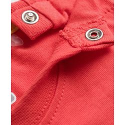 Babyhug 100% Cotton Knit Half Sleeves Bear Printed T-Shirt & Shorts Set With Patch - Red & Blue