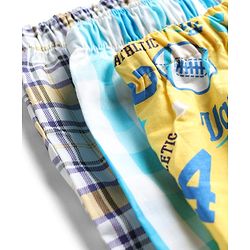 Babyhug Cotton Poplin Woven Checks Boxers With Tiger Print Pack of 3 - Multicolor