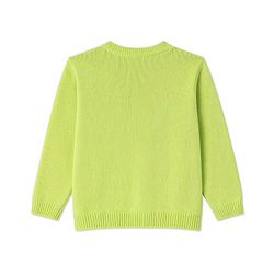 Babyhug Knit Full Sleeves Front Open Floral Embroidered Sweater - Green