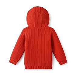 Babyhug Fur- Lined Knit Full Sleeves Hooded Sweater with Dinosaur Patch - Red