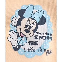 Babyhug Interlock Knit Half Sleeves Jhablas with Minnie Mouse Graphics Pack of  2- Sky &  Peach