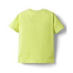 Babyhug Marvel Cotton Knit T-Shirt with Spider-Man Graphic Half Sleeves Round Neck Limegreen 6-9 Months