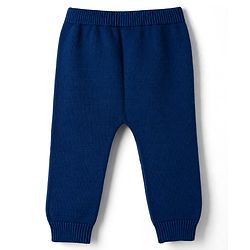 Babyhug 100% Cotton Knit Full Raglan Sleeves Penguin Designed Sweater Set with Cap - Navy & Grey
