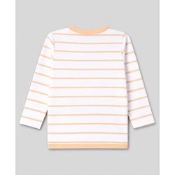 Babyhug 100% Cotton Knit Full Sleeves Animal & Stripe Printed Jhablas Pack of 3 - Green white & Pink