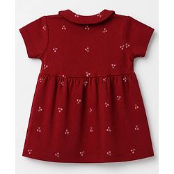 Babyhug Interlock Knit Cotton Half Sleeves Frocks with Bloomer & Cherry Print - Maroon
