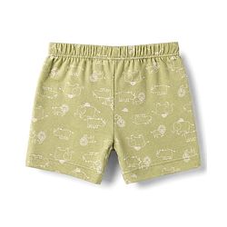 Babyhug 100% Cotton Single Jersey Knit Striped & Animals Printed Trunks Pack of 3 -Olive & Cream