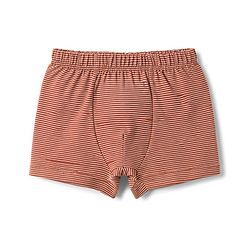 Babyhug 100% Cotton Single Jersey Knit Striped & Animals Printed Trunks Pack of 3 -Olive & Cream