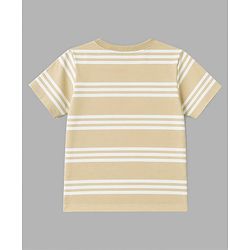 Babyhug 100% Cotton Knit Half Sleeves Striped & Animal Printed T-Shirts Pack Of 3 -Light Green & White