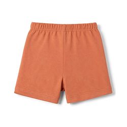 Babyhug 100% Cotton Knit Solid Briefs Pack Of 3 - Navy Blue Olive Green & Rust Orange