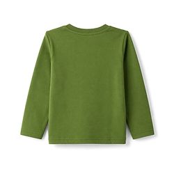 Babyhug 100% Cotton Knit Full Sleeves Tiger Printed T-Shirt & Pyjama Night Suit - Olive Green