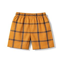 Babyhug Poplin Woven Above Knee Length Checkered & Bear Printed Boxers Pack of 3 - Brown & Blue