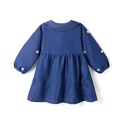 Babyhug Denim Woven Full Sleeves Floral Embroidered Frock - Blue