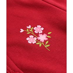 Babyhug 100% Cotton Interlock Knit Full Sleeves Front Open Jhablas With Floral Print Pack of 3 - Red & Pink