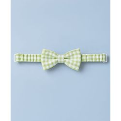 Babyhug Cotton Woven Half Sleeves Checked Frock with Bloomer & Bow Applique - Green