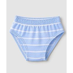 Babyhug 100% Cotton Single Jersey Knit Briefs with Elephant & Striped Giraffe Print Pack of 3 in Brown Cream & Blue