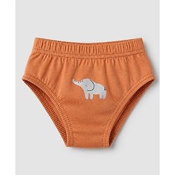 Babyhug 100% Cotton Single Jersey Knit Briefs with Elephant & Striped Giraffe Print Pack of 3 in Brown Cream & Blue