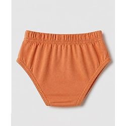 Babyhug 100% Cotton Single Jersey Knit Briefs with Elephant & Striped Giraffe Print Pack of 3 in Brown Cream & Blue