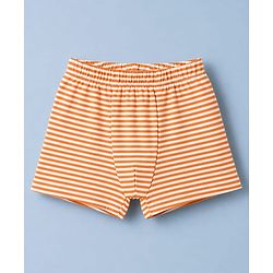 Babyhug 100% Cotton Single Jersey Knit Antibacterial Striped Trunks With Teddy Print Pack of 3 - OffWhite, Orange & Rust Orange