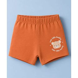 Babyhug 100% Cotton Single Jersey Knit Antibacterial Striped Trunks With Teddy Print Pack of 3 - OffWhite, Orange & Rust Orange
