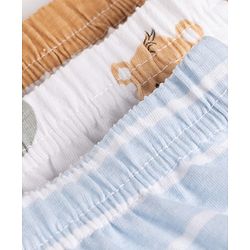 Babyhug 100% Cotton Single Jersey Knit Striped Antibacterial Briefs with Bear & Star Print Pack of 3 - White, Light Brown, Light Blue