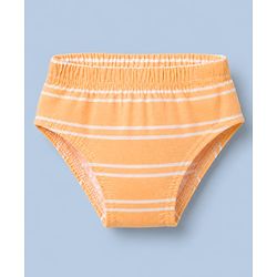 Babyhug 100% Cotton Single Jersey Knit Antibacterial Briefs with Stripes & Dinosaur Print Pack of 3 - Yellow White & Olive Green