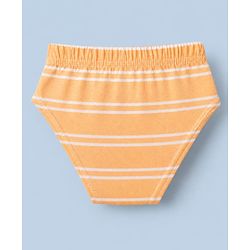 Babyhug 100% Cotton Single Jersey Knit Antibacterial Briefs with Stripes & Dinosaur Print Pack of 3 - Yellow White & Olive Green