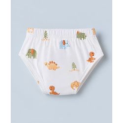 Babyhug 100% Cotton Single Jersey Knit Antibacterial Briefs with Stripes & Dinosaur Print Pack of 3 - Yellow White & Olive Green