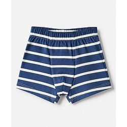 Babyhug 100% Cotton Single Jersey Knit Briefs with Striped & Dino Print Pack of 3 in Navy Blue & Cream