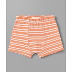 Babyhug 100% Cotton Knit Striped Briefs With Boat Print Pack of 3 - Peach, Orange & Light Blue