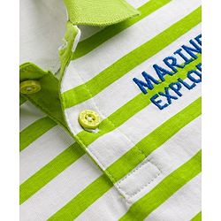 Babyhug 100% Cotton Knit Half Sleeves Striped Polo Neck T Shirt - Light Green