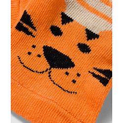 Cute Walk by Babyhug Knit Ankle Length Antibacterial Socks with Stripes & Animals Design Pack of 3 - White & Orange