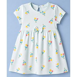 Babyhug Single Jersey Knit Half Sleeves Floral & Hearts Printed Frocks With Bow Applique Pack Of 2 - Pink & Light Green